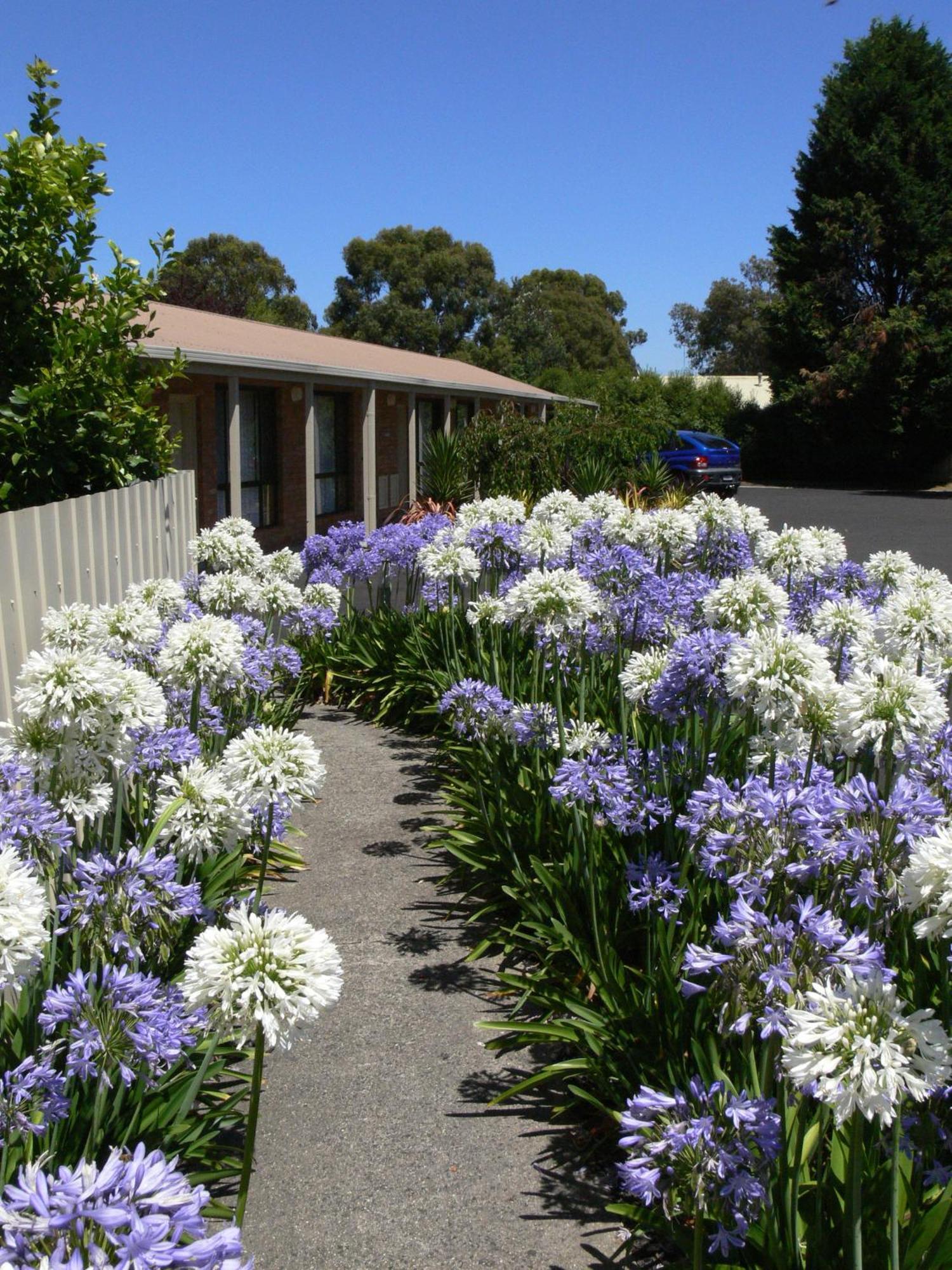 Begonia City Motor Inn Ballarat Eksteriør billede